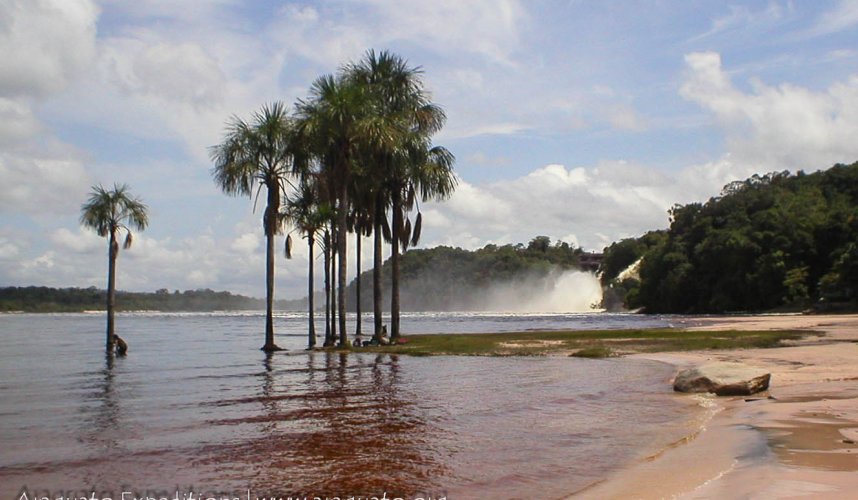 "Araguato Expeditions" Tours | Canaima & Salto Angel - Venezuela