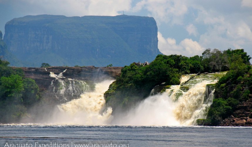 "Araguato Expeditions" Tours | Canaima & Salto Angel - Venezuela