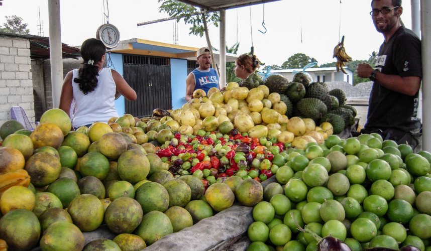 "Araguato Expeditions" El Catatumbo - Lago de Maracaibo - Venezuela