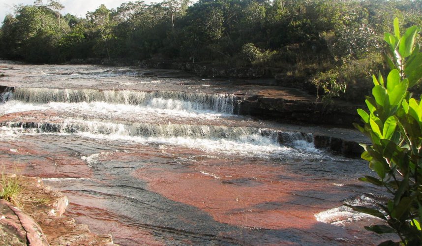 "Araguato Expeditions" Gran Sabana - Parque Nacional Canaima - Venezuela