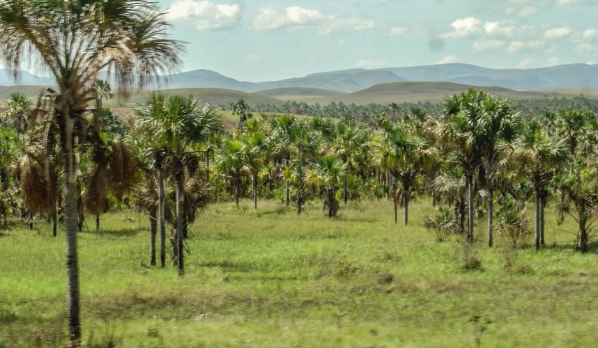 "Araguato Expeditions" Gran Sabana - Canaima National Park - Venezuela