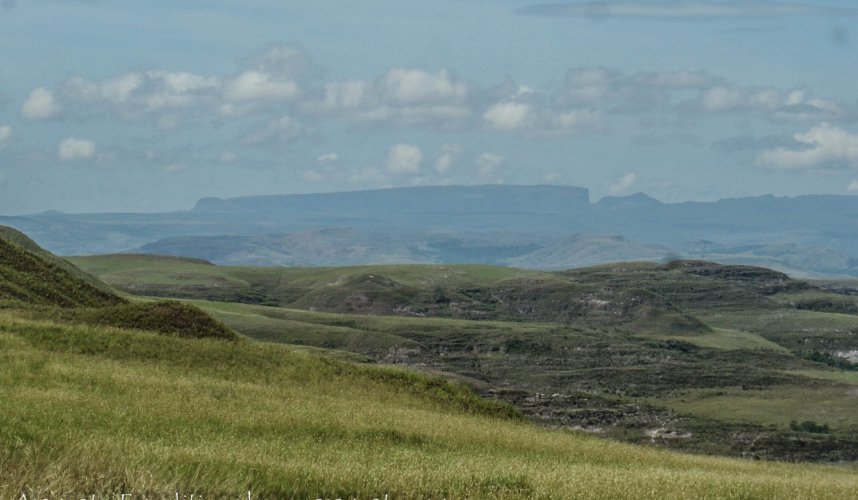 "Araguato Expeditions" Gran Sabana - Parque Nacional Canaima - Venezuela