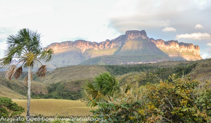 "Araguato Expeditions" Kavac / Canaima & Angel Falls - Venezuela