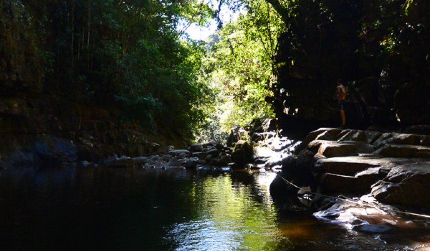 "Araguato Expeditions" Kavac / Canaima & Salto Angel - Venezuela