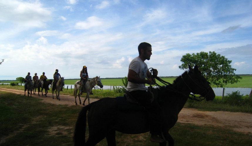 "Araguato Expeditions" Tour | Safari Los Llanos - Apure State - Venezuela