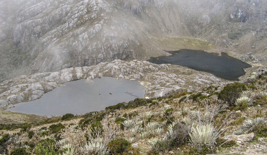 "Araguato Expeditions" Tours | Trek Los Nevados - Sierra Nevada National Park - Venezuela