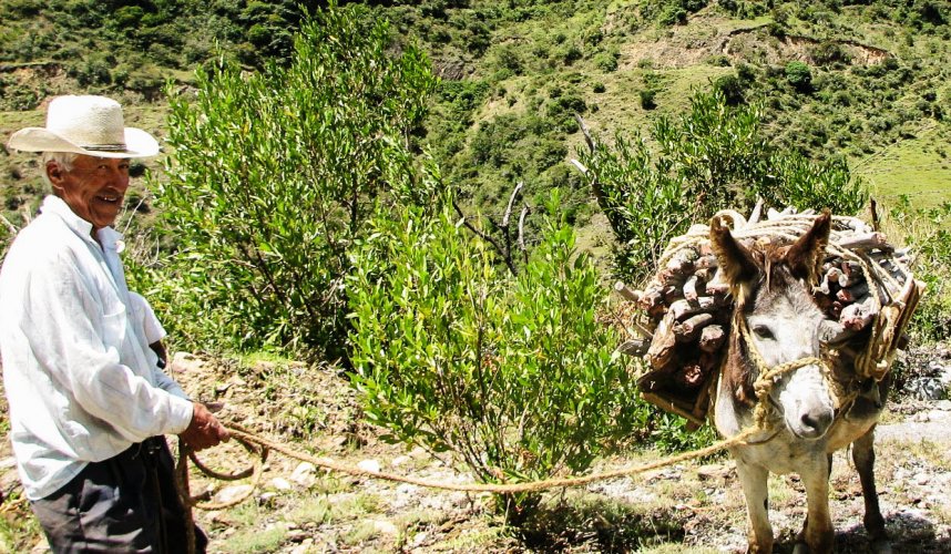 "Araguato Expeditions" Los Nevados - Merida - Venezuela