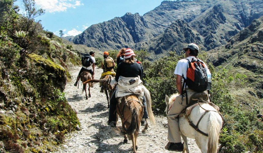 "Araguato Expeditions" Tours | Trek Los Nevados - Sierra Nevada National Park - Venezuela