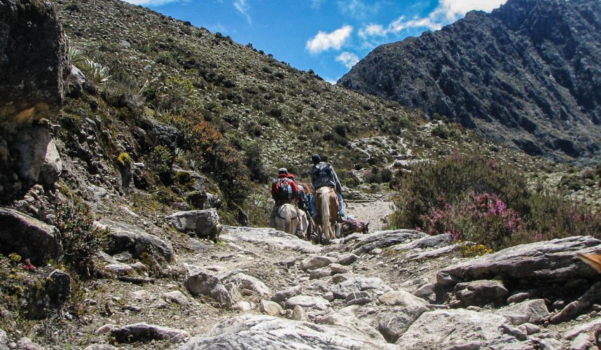 "Araguato Expeditions" Los Nevados - Merida - Venezuela