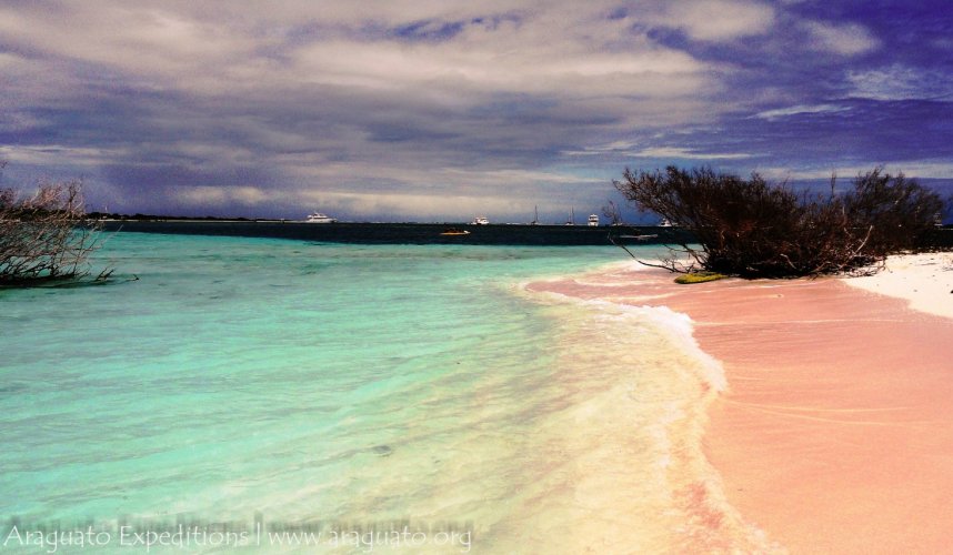 "Araguato Expeditions" Los Roques National Park - Venezuela