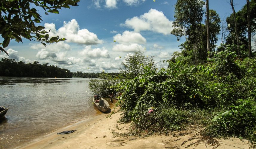 "Araguato Expeditions" Tour | Expedition to The Caura River - Venezuela