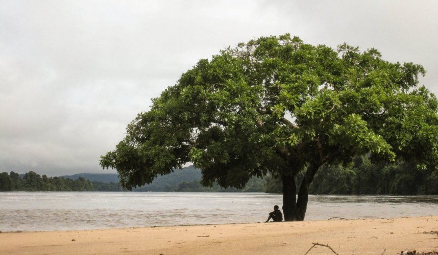 "Araguato Expeditions" Rio Caura & Salto Pará - Venezuela