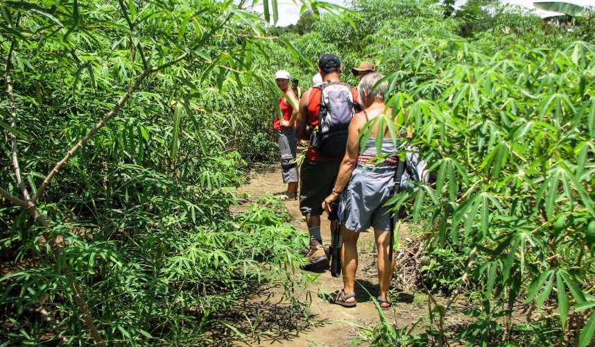 "Araguato Expeditions" Rio Caura & Salto Pará - Venezuela