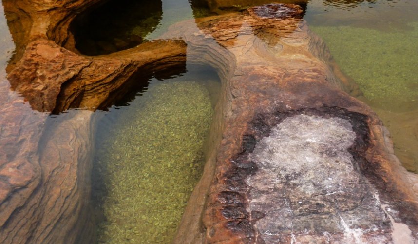 "Araguato Expeditions" Roraima Trek - Gran Sabana - Venezuela