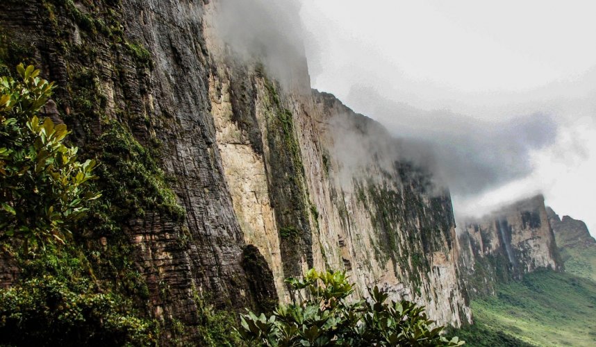 "Araguato Expeditions" Roraima Trek - Gran Sabana - Venezuela