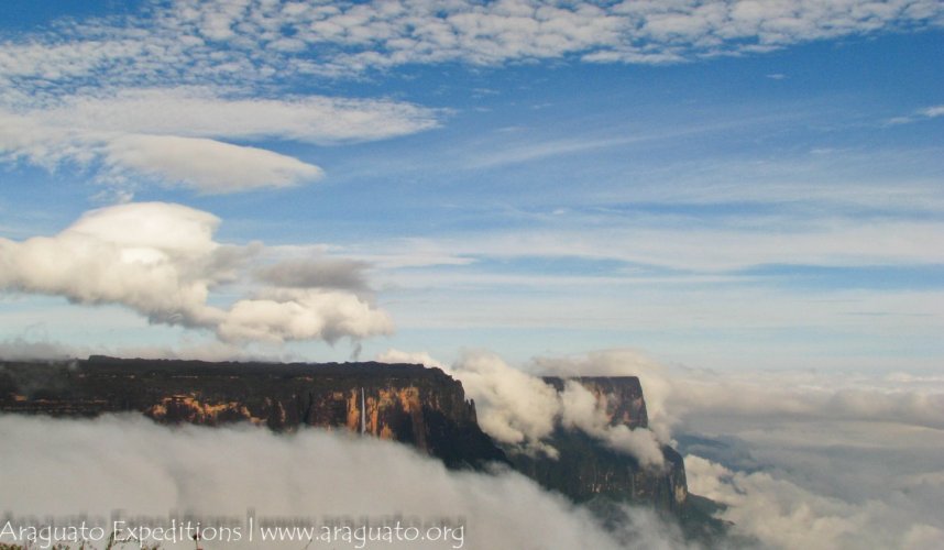 "Araguato Expeditions" Roraima Trek - Gran Sabana - Venezuela