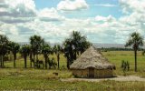 "Araguato Expeditions" Mantopai & Gran Sabana - Venezuela