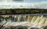 "Araguato Expeditions" Gran Sabana - Parque Nacional Canaima - Venezuela