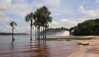 "Araguato Expeditions" Tours | Canaima & Salto Angel - Venezuela