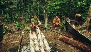 "Araguato Expeditions" Tours | Canaima & Salto Angel - Venezuela