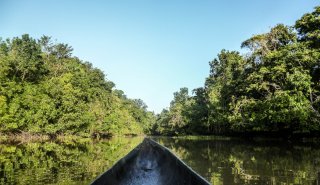 "Araguato Expeditions" Delta del Orinoco - Venezuela