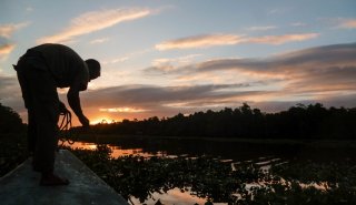 "Araguato Expeditions" Delta del Orinoco - Venezuela