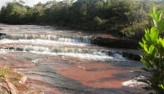 "Araguato Expeditions" Gran Sabana - Parque Nacional Canaima - Venezuela