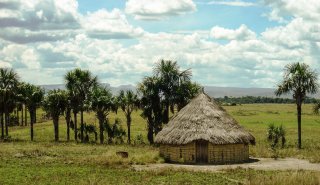 "Araguato Expeditions" Gran Sabana - Parque Nacional Canaima - Venezuela