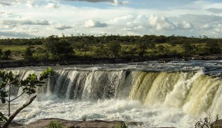 "Araguato Expeditions" Gran Sabana - Parque Nacional Canaima - Venezuela