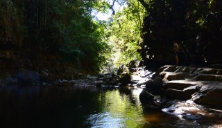 "Araguato Expeditions" Kavac / Canaima & Salto Angel - Venezuela