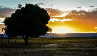 "Araguato Expeditions" Kavac & El Valle de Kamarata - Venezuela