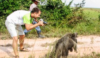 "Araguato Expeditions" Tour | Safari Los Llanos - Venezuela