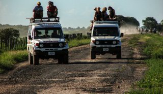 "Araguato Expeditions" Tour | Safari Los Llanos - Apure State - Venezuela