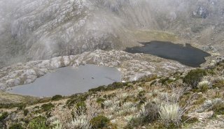 "Araguato Expeditions" Los Nevados - Merida - Venezuela