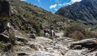 "Araguato Expeditions" Tours | Trek Los Nevados - Sierra Nevada National Park - Venezuela