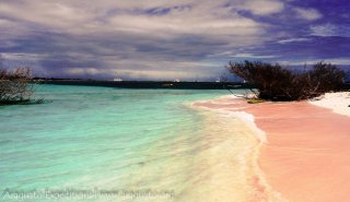 "Araguato Expeditions" Archipiélago Los Roques - Venezuela