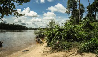 "Araguato Expeditions" Tour | Expedition to The Caura River - Venezuela