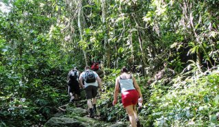 "Araguato Expeditions" Rio Caura & Salto Pará - Venezuela