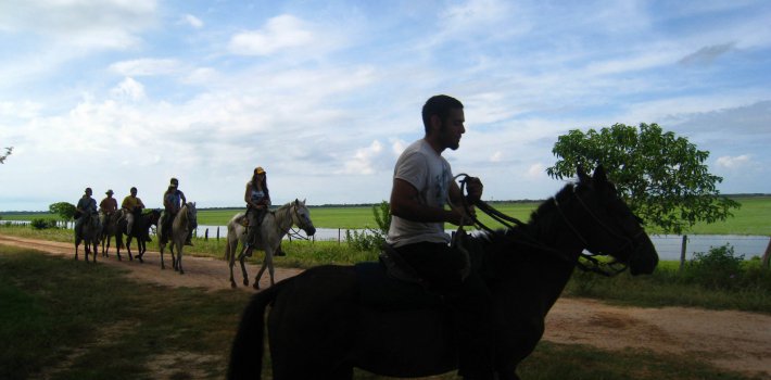 "Araguato Expeditions" Tour | Safari Los Llanos - Apure State - Venezuela